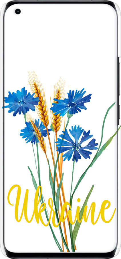 3D пластиковый матовый чехол Ukraine v2 для Xiaomi Mi 11 Ultra - 5445m-2295 изображение 