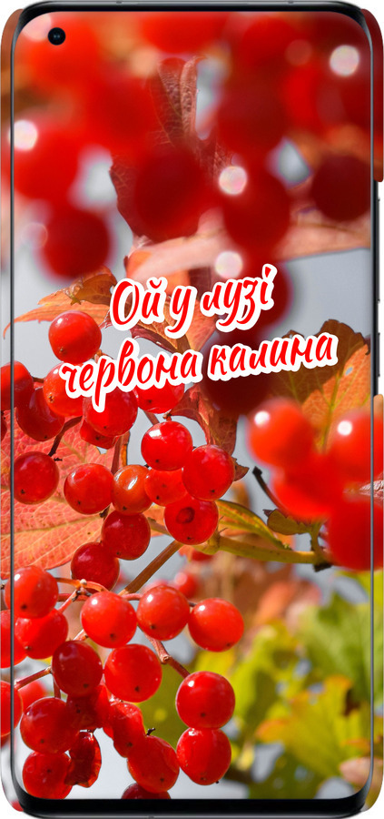 3D пластиковий матовий чехол Калина для Xiaomi Mi 11 Ultra - 5454m-2295 изображение 