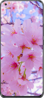 2D пластиковый чехол Сакура для Xiaomi Mi 11 - 6029t-2253 изображение 