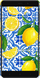 3D пластиковий глянцевий чехол Grocery Girl Italian Summer для Xiaomi Mi 5s Plus - 6766c-396 изображение 