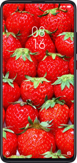 2D пластиковый чехол Клубника для Xiaomi Mi 9T Pro - 6020t-1698 изображение 