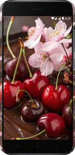 3D пластиковый матовый чехол Вишня в шоколаде для Xiaomi Mi A1 - 6698m-1132 изображение 