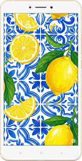 2D пластиковий чехол Grocery Girl Italian Summer для Xiaomi Mi Max 2 - 6766t-994 изображение 