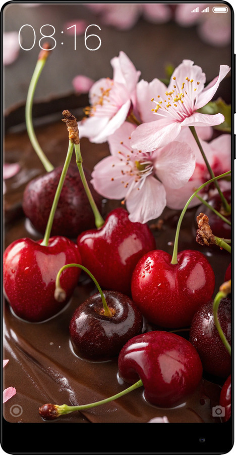 TPU чехол Вишня в шоколаде для Xiaomi Mi MiX 2 - 6698b-1067 изображение 