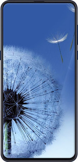 2D пластиковий чехол Кульбабка для Xiaomi Mi Mix 3 - 6005t-1599 изображение 