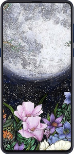 2D пластиковый чехол Полночь в саду для Xiaomi Mi Mix 3 - 6259t-1599 изображение 
