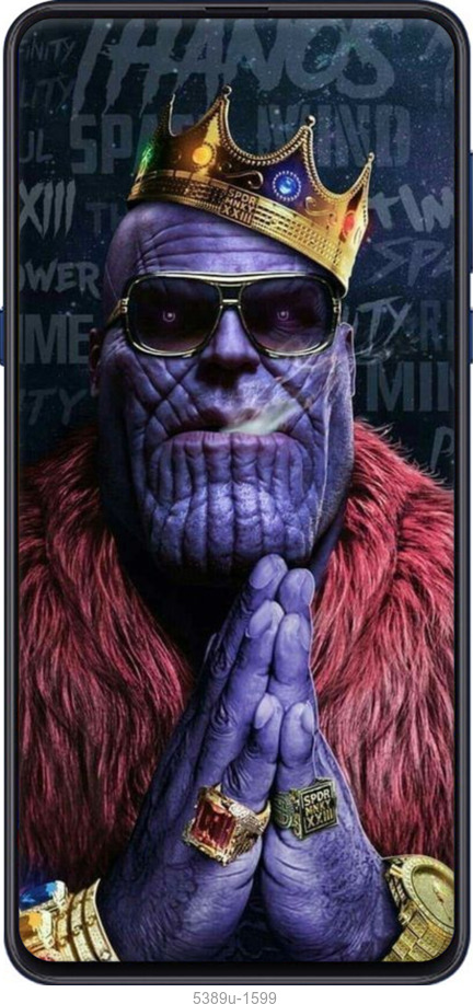 2D пластиковый чехол № 5389 для Xiaomi Mi Mix 3 - 5389t-1599 изображение 
