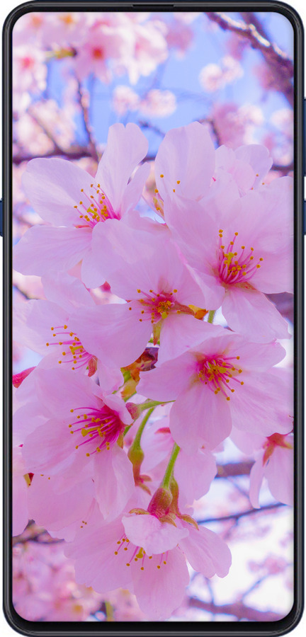 Силіконовий чехол Сакура для Xiaomi Mi Mix 3 - 6029u-1599 изображение 