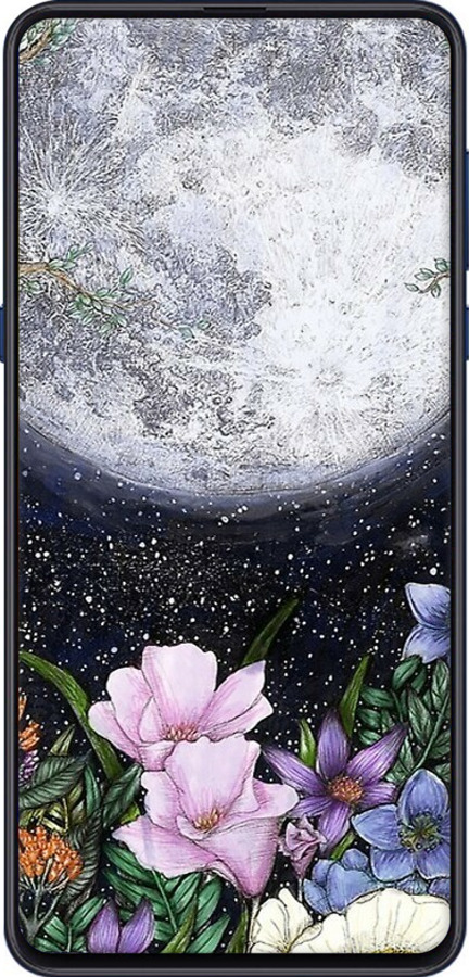 2D пластиковый чехол Полночь в саду для Xiaomi Mi Mix 3 - 6259t-1599 изображение 
