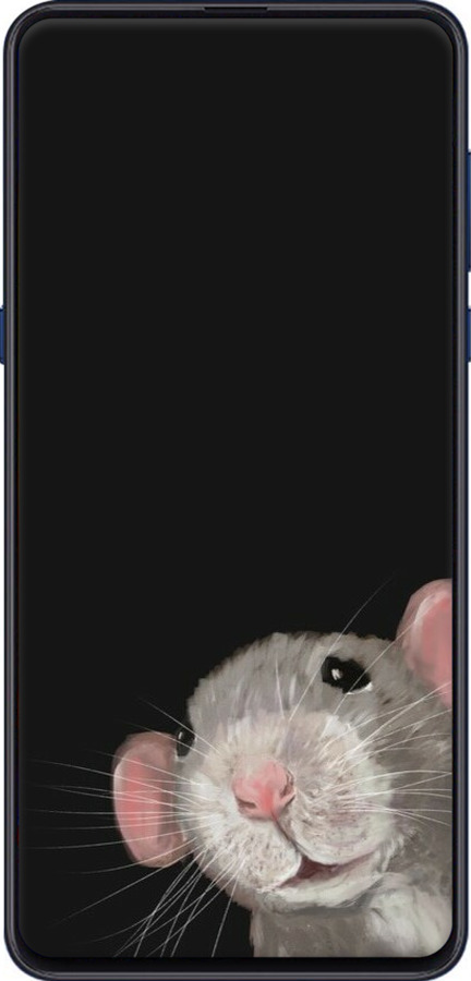 2D пластиковый чехол The Peeking Rat для Xiaomi Mi Mix 3 - 6442t-1599 изображение 