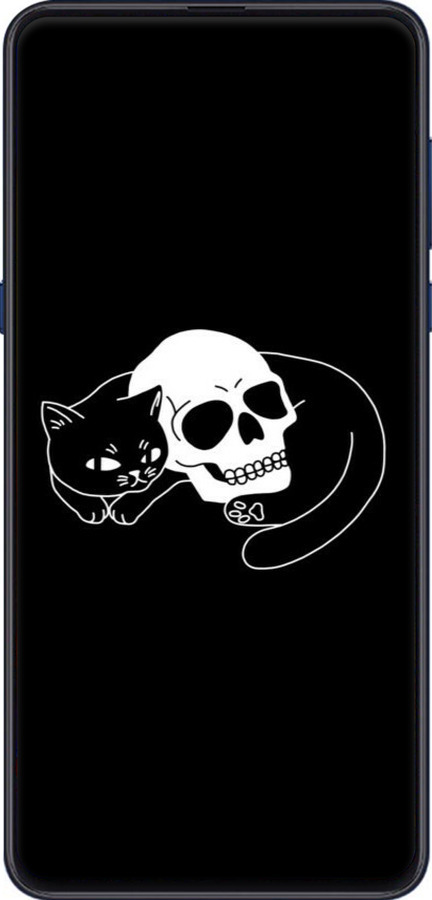 2D пластиковий чехол Із зображенням кота та черепа для Xiaomi Mi Mix 3 - 6491t-1599 изображение 