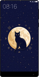 Силиконовый чехол Cute Cat Celestial/Witchy для Xiaomi Mi MiX - 6787u-426 изображение 
