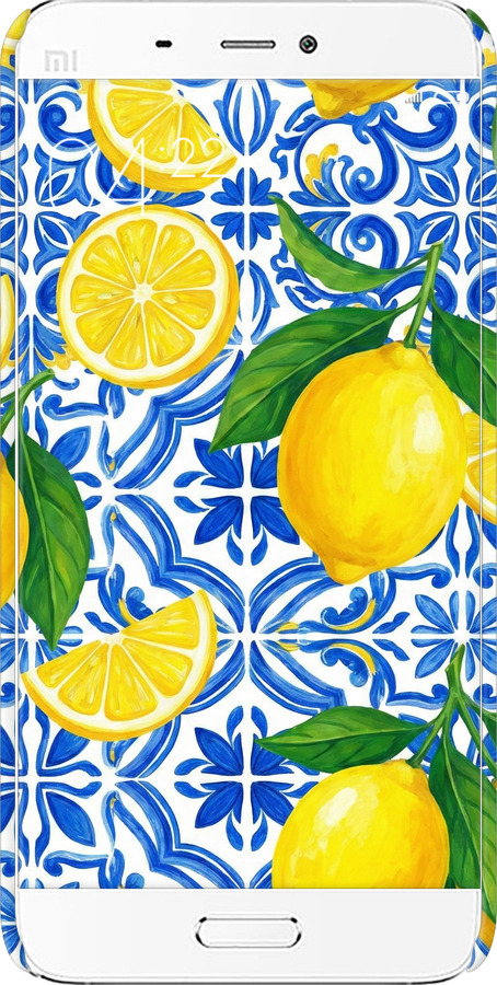 3D пластиковый глянцевый чехол Grocery Girl Italian Summer для Xiaomi Mi5 - 6766c-180 изображение 