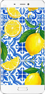 Силиконовый чехол Grocery Girl Italian Summer для Xiaomi Mi5 - 6766u-180 изображение 