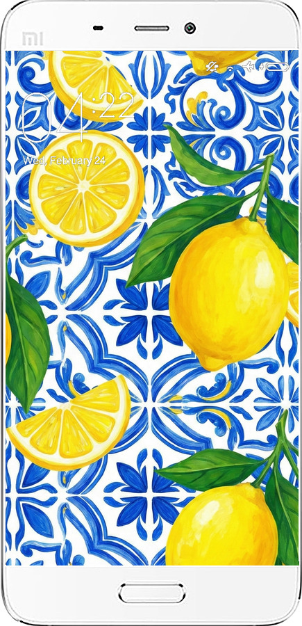 Силиконовый чехол Grocery Girl Italian Summer для Xiaomi Mi5 - 6766u-180 изображение 