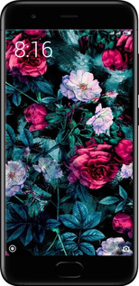 2D пластиковий чехол Сад та троянди для Xiaomi Mi6 - 6483t-965 изображение 