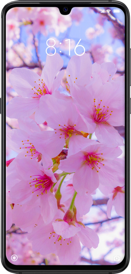 2D пластиковый чехол Сакура для Xiaomi Mi9 - 6029t-1648 изображение 