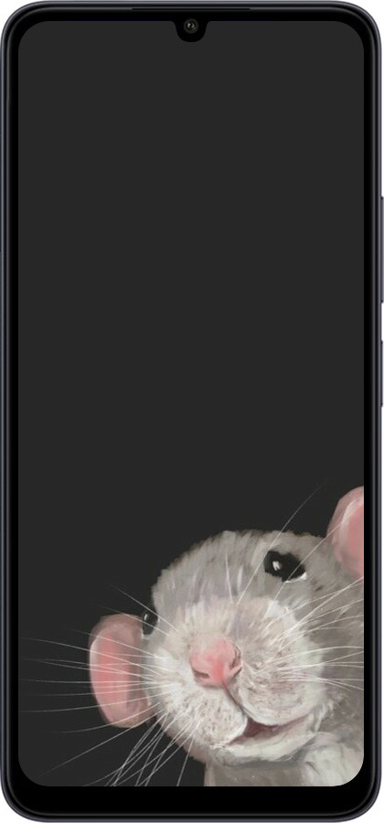 TPU чехол The Peeking Rat для Xiaomi Redmi 13C - 6442b-3410 изображение 