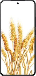 Силиконовый чехол Колоски пшеници для Xiaomi POCO F7 Pro - 5866u-4085 изображение 