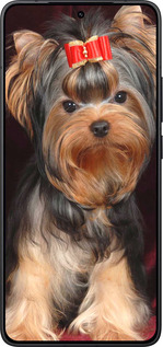 Силиконовый чехол Йоркширский терьер для Xiaomi POCO F7 Pro - 929u-4085 изображение 