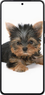 Силиконовый чехол Щенок йоркширского терьера для Xiaomi POCO F7 Pro - 931u-4085 изображение 