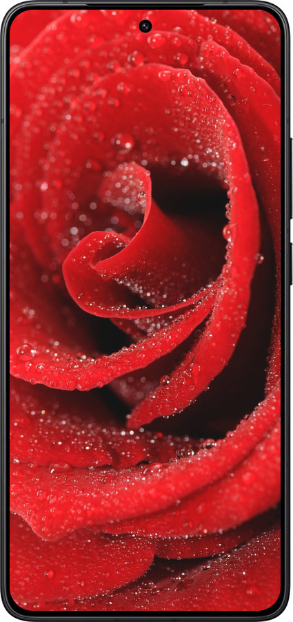 Силиконовый чехол Красная роза для Xiaomi Redmi K80 - 529u-4148 изображение 