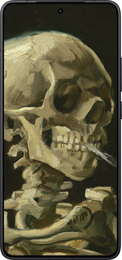 Силіконовий чехол Вінсент Ван Гог. Череп для Xiaomi Redmi K80 - 5544u-4148 изображение 