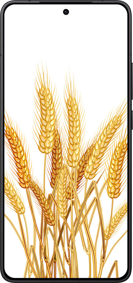 Силиконовый чехол Колоски пшеници для Xiaomi POCO F7 Pro - 5866u-4085 изображение 