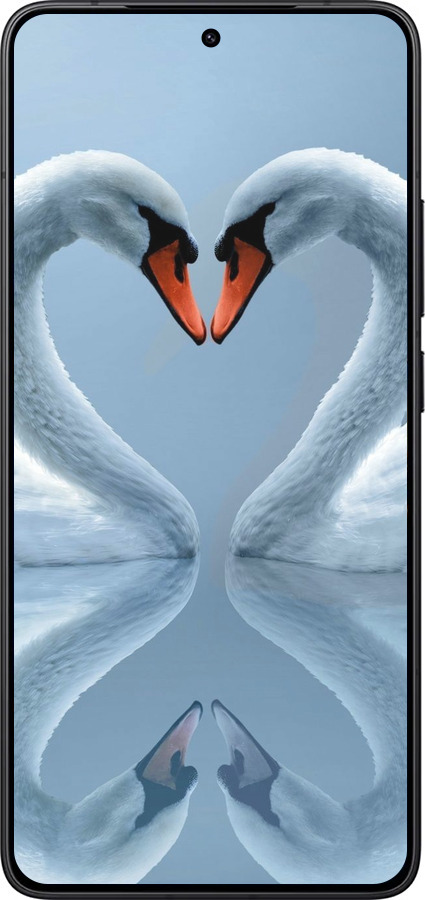 Силиконовый чехол Лебеди для Xiaomi Redmi K80 - 6007u-4148 изображение 