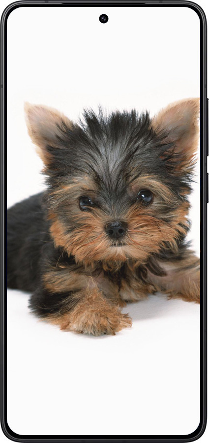 Силиконовый чехол Щенок йоркширского терьера для Xiaomi POCO F7 Pro - 931u-4085 изображение 