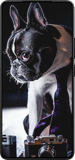 Силиконовый чехол Бульдог-фотограф для Xiaomi Poco F7 Ultra - 142u-4086 изображение 