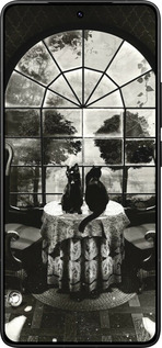 Силиконовый чехол Череп и коты для Xiaomi Poco F7 Ultra - 6432u-4086 изображение 