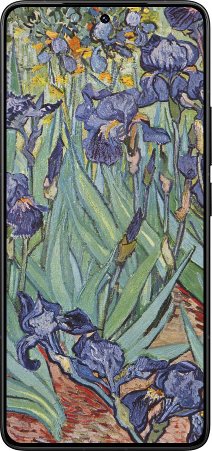 Силіконовий чехол Вінсент Ван Гог. Іриси для Xiaomi Redmi K80 Pro - 161u-4145 изображение 