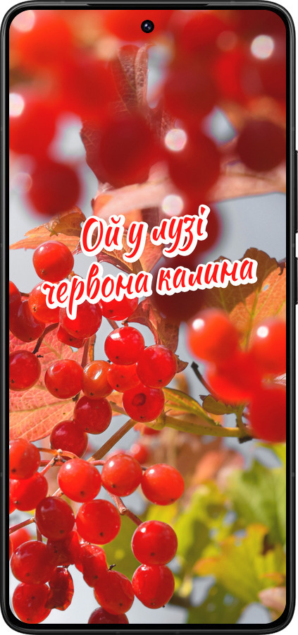 Силіконовий чехол Калина для Xiaomi Redmi K80 Pro - 5454u-4145 изображение 