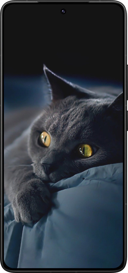 Силиконовый чехол Дымчатый кот для Xiaomi Redmi K80 Pro - 825u-4145 изображение 