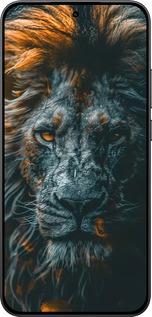 Силиконовый чехол Лев в сумерках для Xiaomi Redmi Turbo 4 Pro 5G - 6154u-4239 изображение 