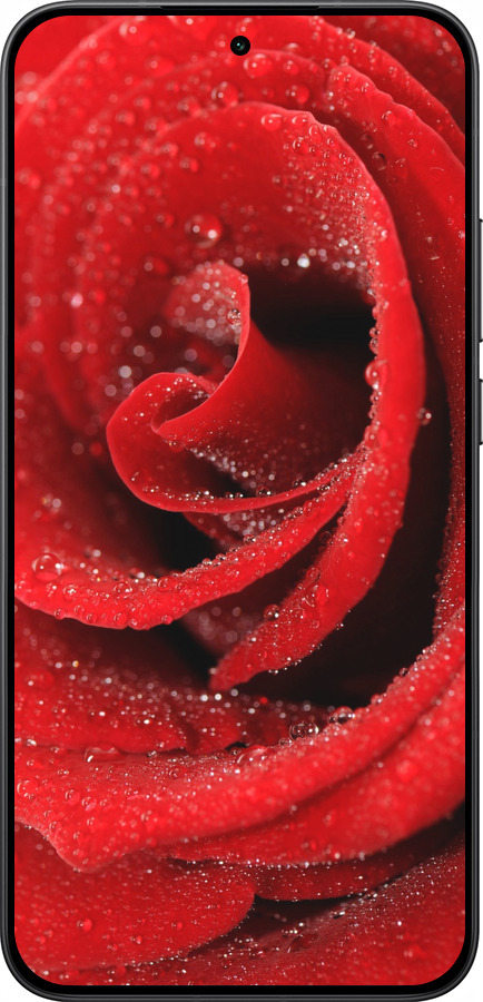Силиконовый чехол Красная роза для Xiaomi Redmi Turbo 4 Pro 5G - 529u-4239 изображение 