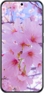 Силиконовый чехол Сакура для Xiaomi POCO F8 Pro - 6029u-4231 изображение 