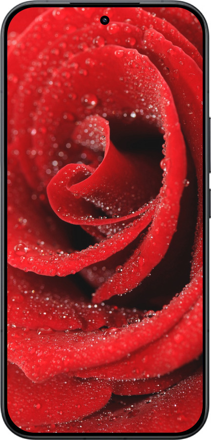 Силіконовий чехол Червона троянда для Xiaomi Redmi K90 Pro Max 5G - 529u-4236 изображение 