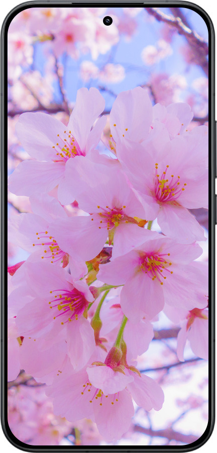 Силіконовий чехол Сакура для Xiaomi Redmi K90 Pro Max 5G - 6029u-4236 изображение 