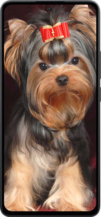 Силиконовый чехол Йоркширский терьер для Xiaomi Poco M7 Pro 5G - 929u-3942 изображение 