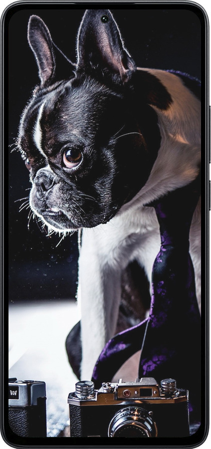 Силіконовий чехол Бульдог-фотограф для Xiaomi Poco M7 Pro 5G - 142u-3942 изображение 