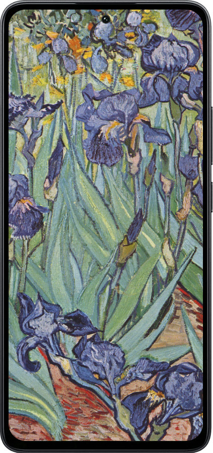 Силиконовый чехол Винсент Ван Гог. Ирисы для Xiaomi Poco M7 Pro 5G - 161u-3942 изображение 