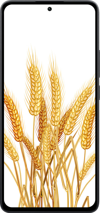 Силиконовый чехол Колоски пшеници для Xiaomi Poco M7 Pro 5G - 5866u-3942 изображение 