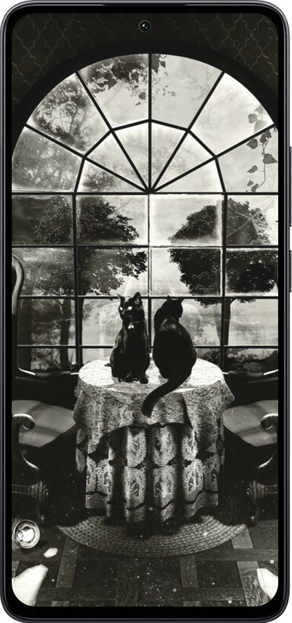 Силиконовый чехол Череп и коты для Xiaomi Poco M7 Pro 5G - 6432u-3942 изображение 