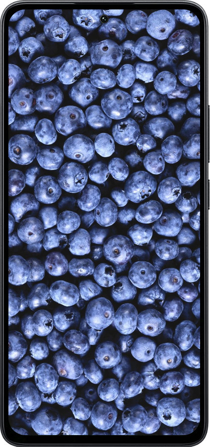 Силіконовий чехол Чорниця для Xiaomi Poco M7 Pro 5G - 851u-3942 изображение 