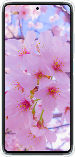 Силикон с усиленными углами чехол Сакура для Xiaomi Redmi Note 12 Pro Speed - 6029sp-3334 изображение 