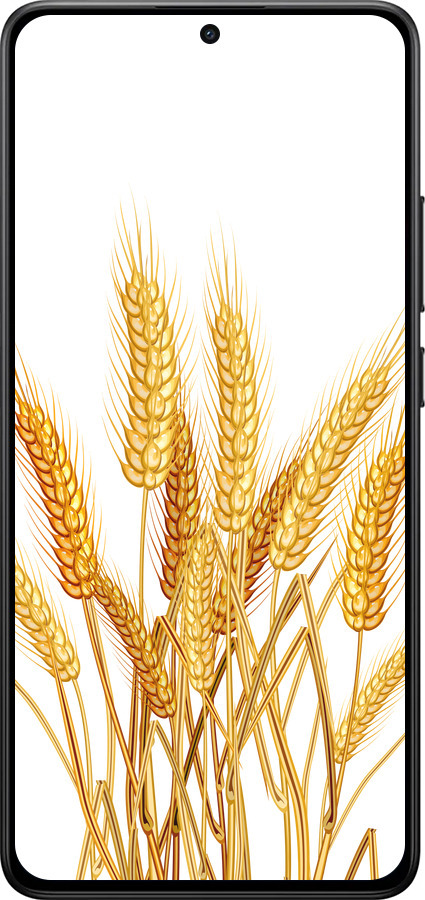 TPU чехол Колоски пшеници для Xiaomi Turbo 4 - 5866b-4013 изображение 