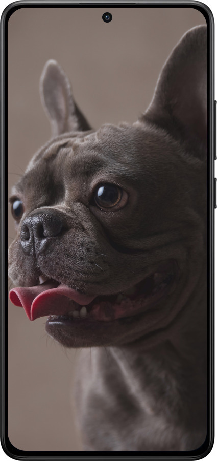 Силиконовый чехол Милый бульдог для Xiaomi POCO X7 PRO - 5546u-3907 изображение 
