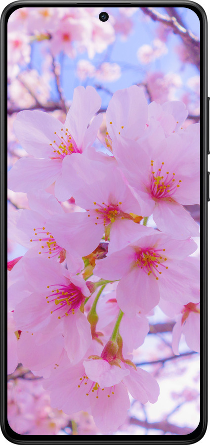 Силиконовый чехол Сакура для Xiaomi POCO X7 PRO - 6029u-3907 изображение 